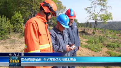 【电力之窗】联合巡线进山林  守护万家灯火与绿水青山（20260403）