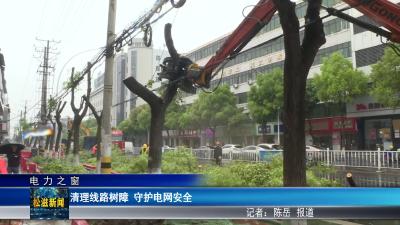 【电力之窗】清理线路树障  守护电网安全（20260414）