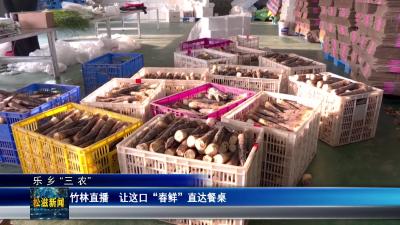 【乐乡“三农”】竹林直播  让这口“春鲜”直达餐桌（20260414）