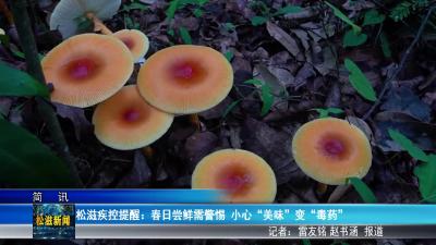 松滋疾控提醒：春日尝鲜需警惕  小心“美味”变“毒药”（20260416）