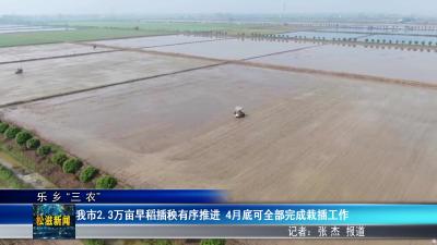 【乐乡“三农”】我市2.3万亩早稻插秧有序推进  4月底可全部完成栽插工作（20260421）