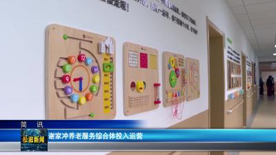 谢家冲养老服务综合体投入运营（20260414）