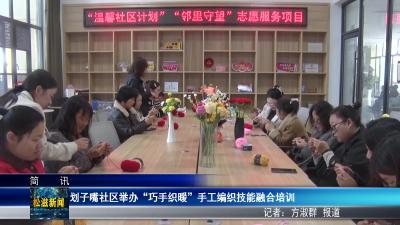 划子嘴社区举办“巧手织暖”手工编织技能融合培训（20260407）