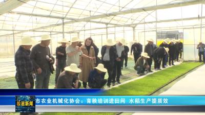 市农业机械化协会：育秧培训进田间  水稻生产提质效（20260401）