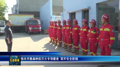 我市开展森林防灭火专项督查  筑牢安全防线（20260403）