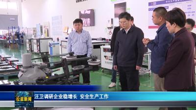 汪卫调研企业稳增长  安全生产工作（20260407）