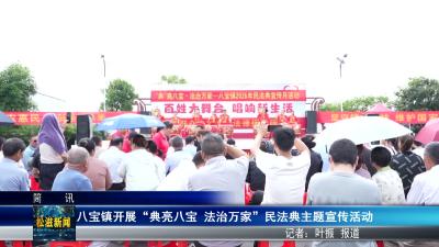 八宝镇开展“典亮八宝 法治万家”民法典主题宣传活动（20260525）