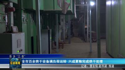 【乐乡“三农”】全市百余烘干设备满负荷运转  六成夏粮完成烘干处理（20260526）
