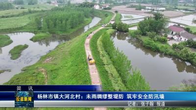 杨林市镇大河北村：未雨绸缪整堤防  筑牢安全防汛墙（20260509）