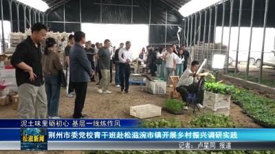 泥土味里砺初心  基层一线炼作风（20260519）