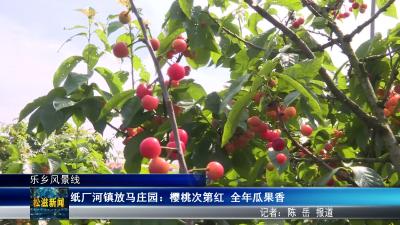 【乐乡风景线】纸厂河镇放马庄园：樱桃次第红  全年瓜果香（20260515）