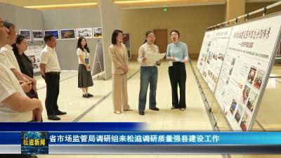 省市场监管局调研组来松滋调研质量强县建设工作（20260518）