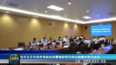 我市召开市政府党组会议暨理论学习中心组集中学习会议（20260529）