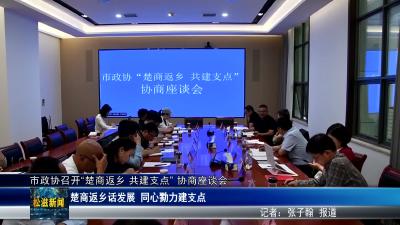 市政协召开“楚商返乡 共建支点” 协商座谈会（20260514）
