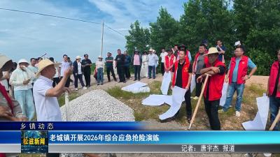 【乡镇动态】老城镇开展2026年综合应急抢险演练（20260612）