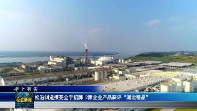 【榜上有名】松滋制造擦亮金字招牌  2家企业产品获评“湖北精品”（20260612）