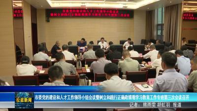 市委党的建设和人才工作领导小组会议暨树立和践行正确政绩观学习教育工作专班第三次会议召开（20260617）
