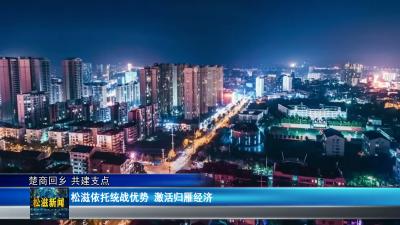 【楚商回乡 共建支点】松滋依托统战优势  激活归雁经济（20260612）