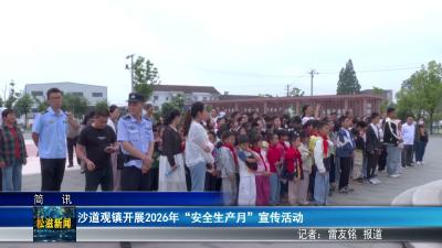 沙道观镇开展2026年“安全生产月”宣传活动（20260624）