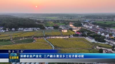 【乐乡“三农”】深耕农业产业化  三产融合激活乡土经济新动能（20260616）