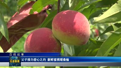 【百姓故事】父子接力爱心之约  新鲜蜜桃暖桑榆（20260625）