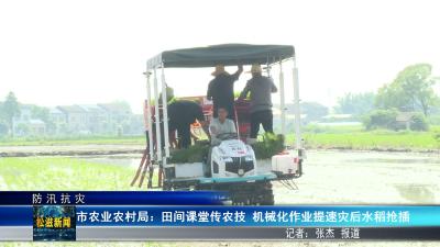 【防汛抗灾】市农业农村局：田间课堂传农技  机械化作业提速灾后水稻抢插（20260602）