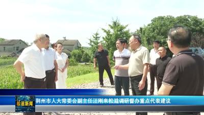 荆州市人大常委会副主任汪刚来松滋调研督办重点代表建议（20260709）