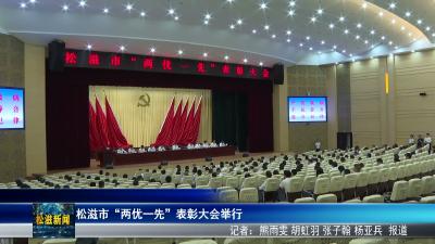 松滋市“两优一先”表彰大会举行（20260701）