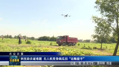 【农业农事】科技助农破难题  无人机变身南瓜田“运粮能手”（20260713）