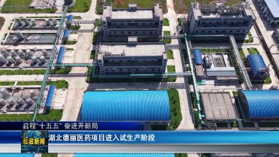 【启程“十五五” 奋进开新局】湖北德丽医药项目进入试生产阶段（20260714）