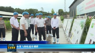 余雪飞到松滋市调研（20260702）