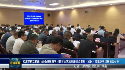松滋市树立和践行正确政绩观学习教育征求意见座谈会暨村（社区）党组织书记座谈会召开（20260717）