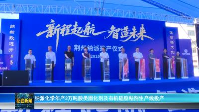 纳派化学年产3万吨胺类固化剂及有机硅胶粘剂生产线投产（20260710）