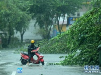 台风“莎莉嘉”在海南登陆