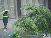 台风“莎莉嘉”在海南登陆