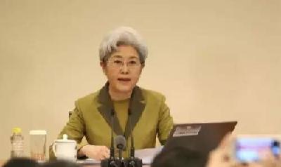 中国“外交天团”爆红网络 网友：祖国有这样的外交官，我们就放心了！