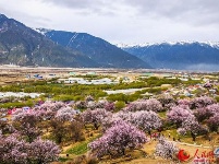 图说中国：西藏林芝的春天