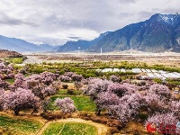 图说中国：西藏林芝的春天