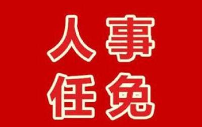 唐良智任重庆市委委员、常委、副书记(图/简历)