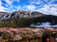 图说中国：西藏林芝的春天