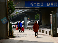 图集 | 战“疫