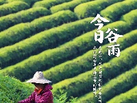 今日谷雨，你准备好迎接夏天了吗？