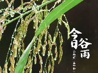今日谷雨，你准备好迎接夏天了吗？