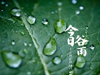 今日谷雨，你准备好迎接夏天了吗？