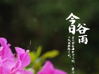 今日谷雨，你准备好迎接夏天了吗？