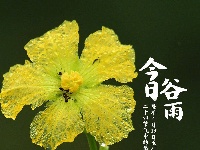今日谷雨，你准备好迎接夏天了吗？