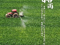 今日谷雨，你准备好迎接夏天了吗？