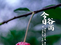今日谷雨，你准备好迎接夏天了吗？