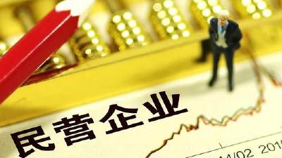发改委：持续完善政策组合激发民企活力 