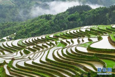 这个劳动节，“突变”的朋友圈画风提示了什么？